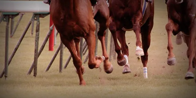 【JRAアンドロメダS予想2025】シェイクユアハートやリビアングラスなど、次代のスター候補が激突！