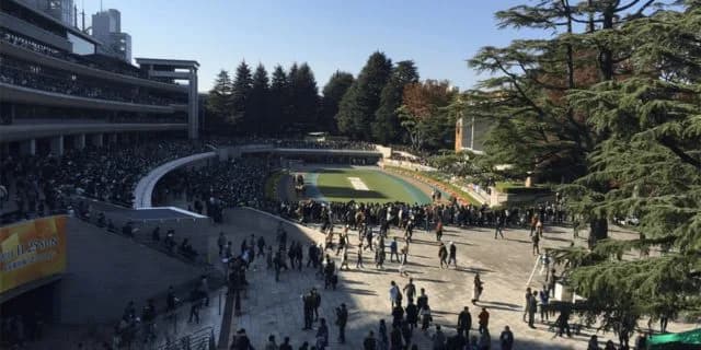 ジャパンカップ（2019）出走予定の登録馬16頭を発表