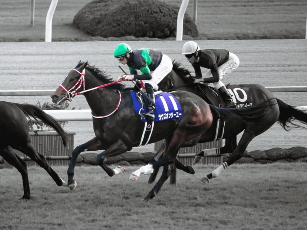 ラヴズオンリーユー、香港回避。有馬記念を視野