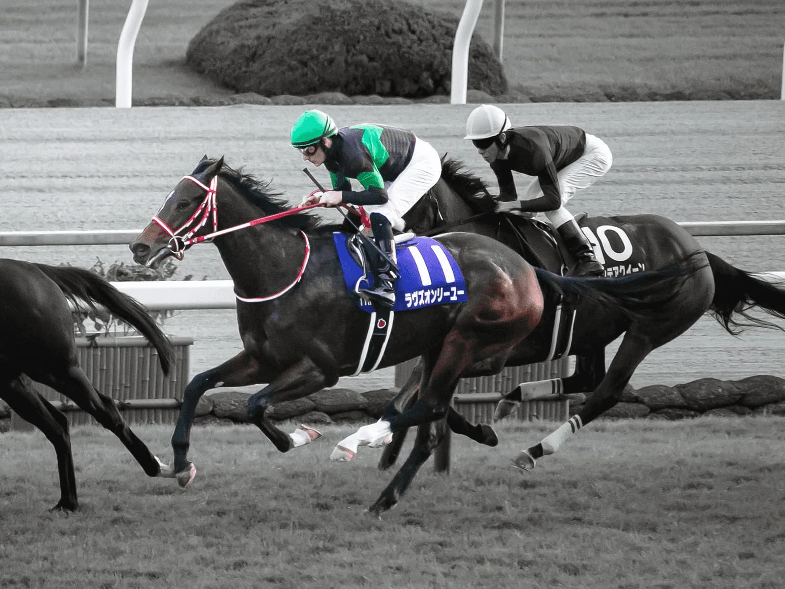 【鳴尾記念2020予想】ラヴズオンリーユー、巻き返しなるか？牡馬相手の別定も得意の舞台なら