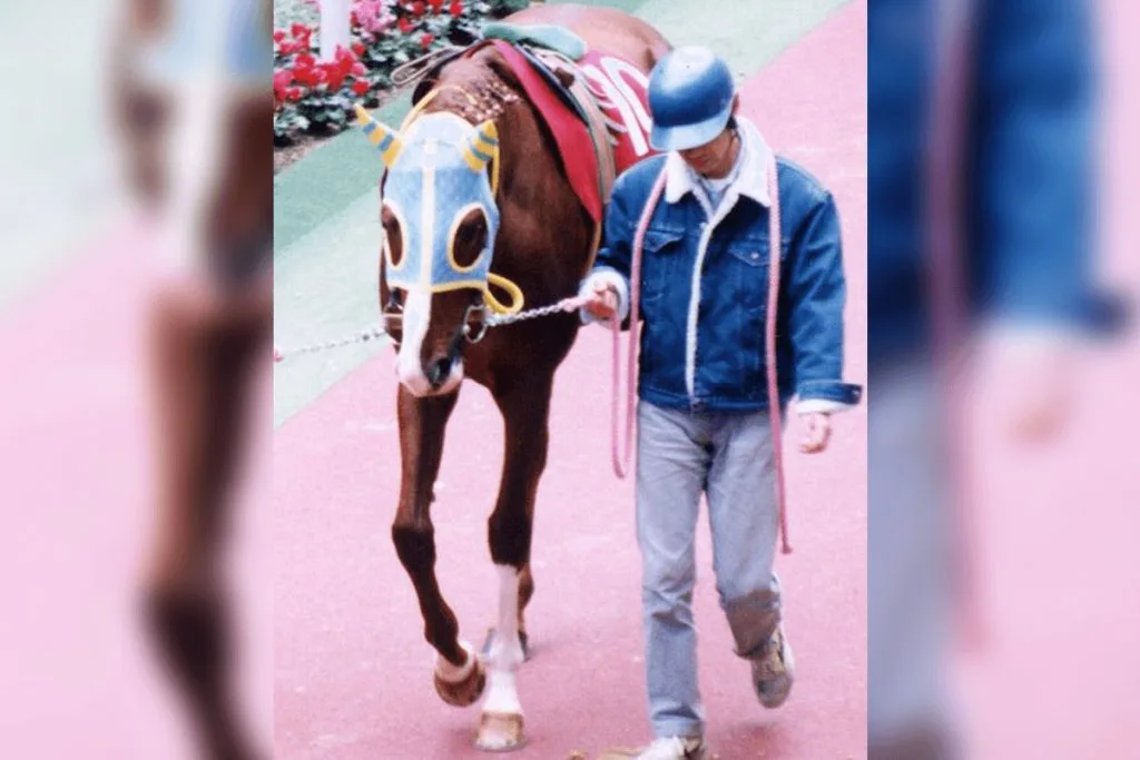 マヤノトップガン、老衰で亡くなる