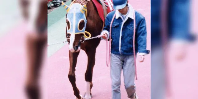 マヤノトップガン、老衰で亡くなる