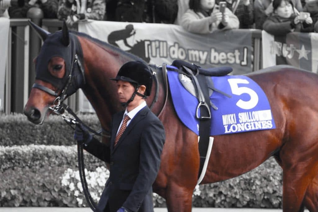 【有馬記念2020】ミッキースワロー、脚部不安により回避