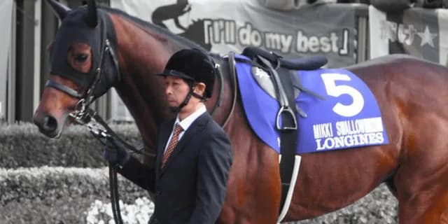 【福島記念2019予想】ミッキースワロー、早めに動く形の競馬が理想