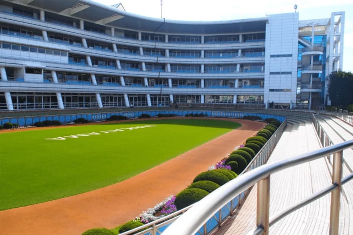 【有馬記念2019予想】最終追い切り・調教内容が高評価の馬トップ3は？