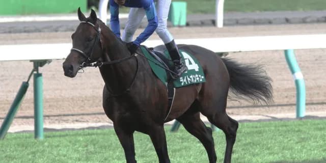 【高松宮記念2021予想】スプリンター9着からの逆転を狙うライトオンキュー！横典騎手、今年芝初勝利がG1も？