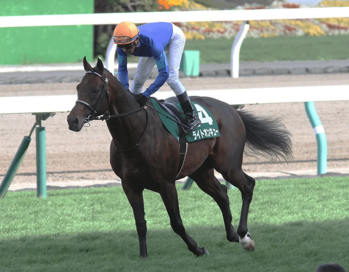 【京阪杯2019予想】ライトオンキュー、強豪相手の前走4着は能力の証か