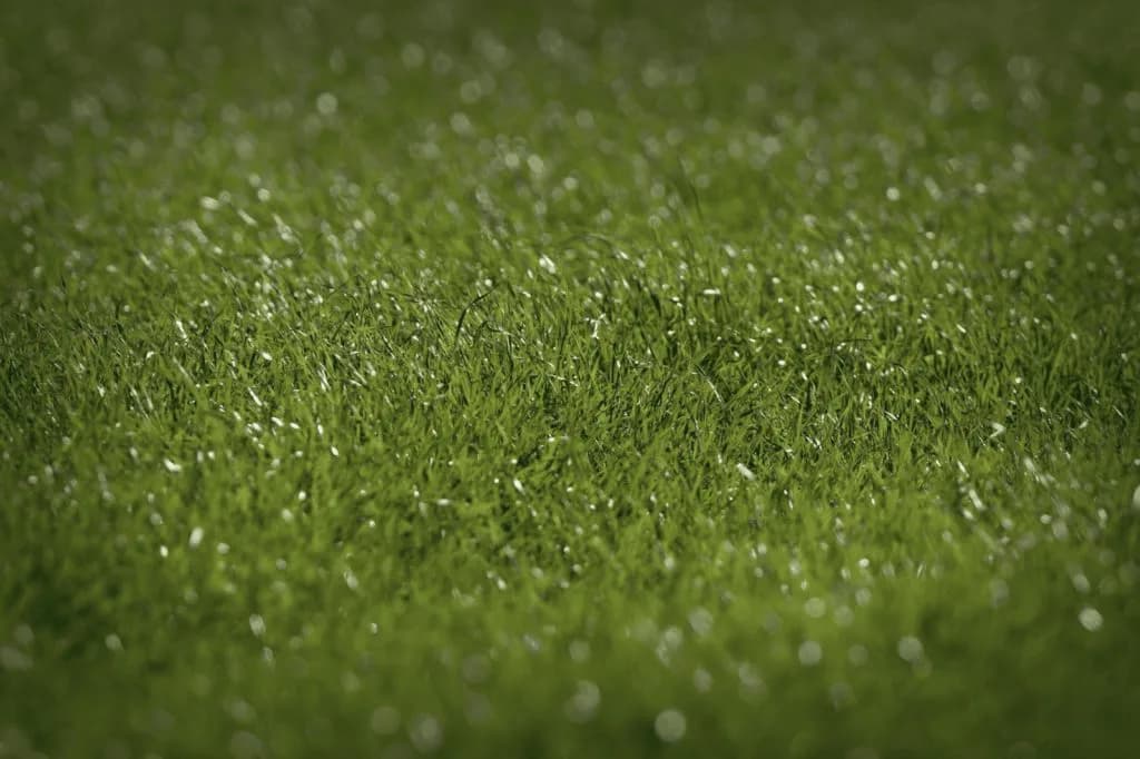 秋華賞（2022）当日の馬場は？阪神の馬場傾向を距離別データで分析・予想