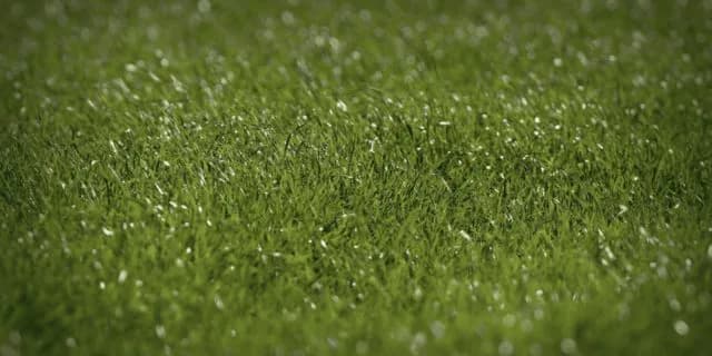 秋華賞（2022）当日の馬場は？阪神の馬場傾向を距離別データで分析・予想