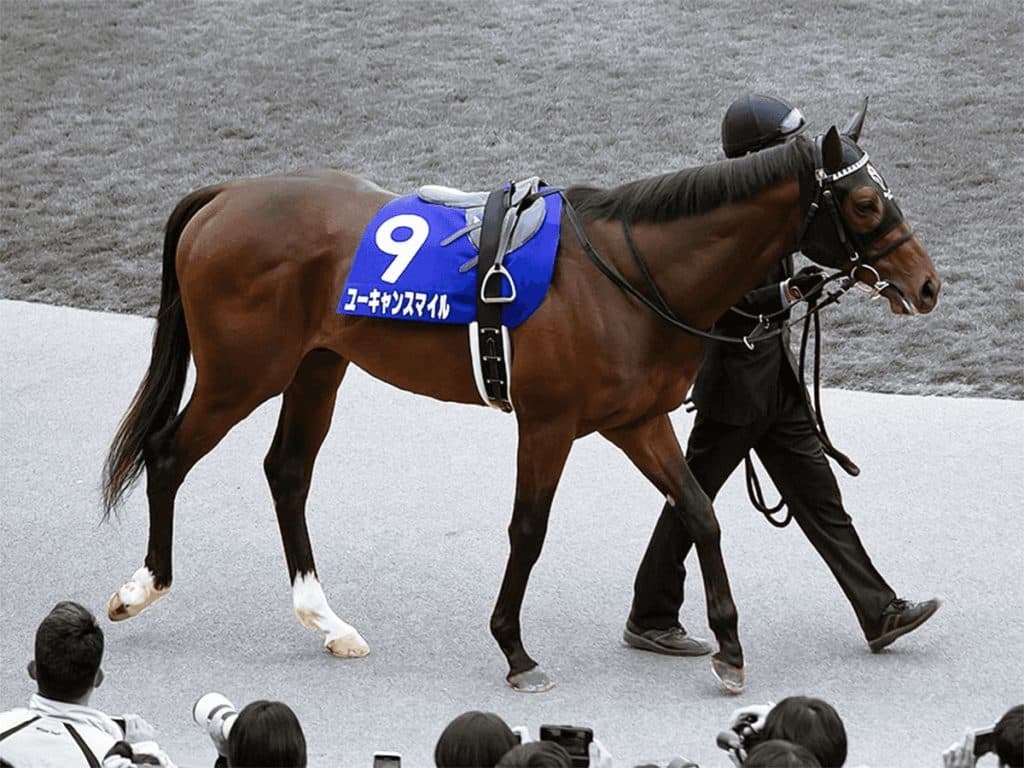 【ジャパンカップ予想2019】ユーキャンスマイル、天皇賞秋は強い4着。ここは勝ち負け