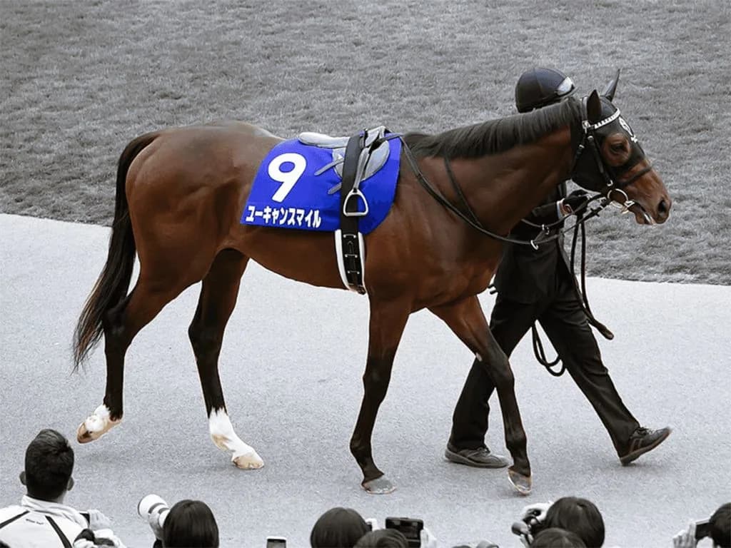 【ジャパンカップ予想2019】ユーキャンスマイル、天皇賞秋は強い4着。ここは勝ち負け