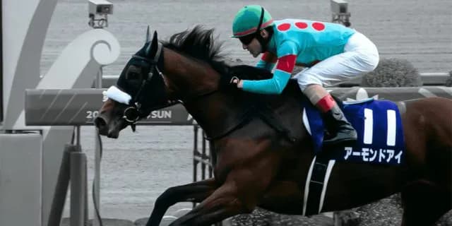【有馬記念2019予想】アーモンドアイの勝利は競馬界“暗黙の総意”?