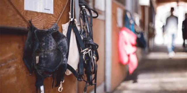 JRA調教師試験に四位洋文騎手ら8人が合格