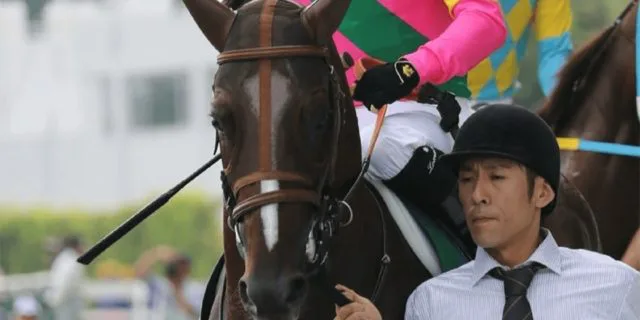 【師走S予想2019】ダートで復活目指すダッシングブレイズ