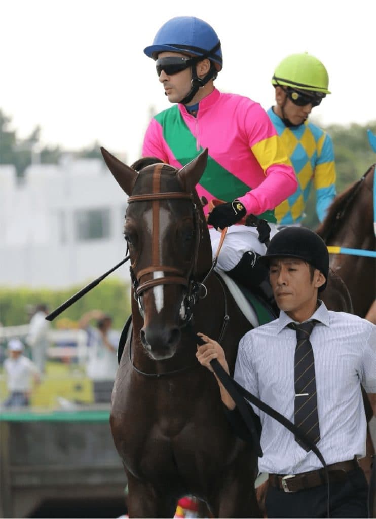 【師走S予想2019】ダートで復活目指すダッシングブレイズ