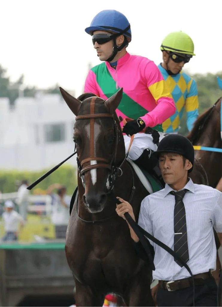 【師走S予想2019】ダートで復活目指すダッシングブレイズ