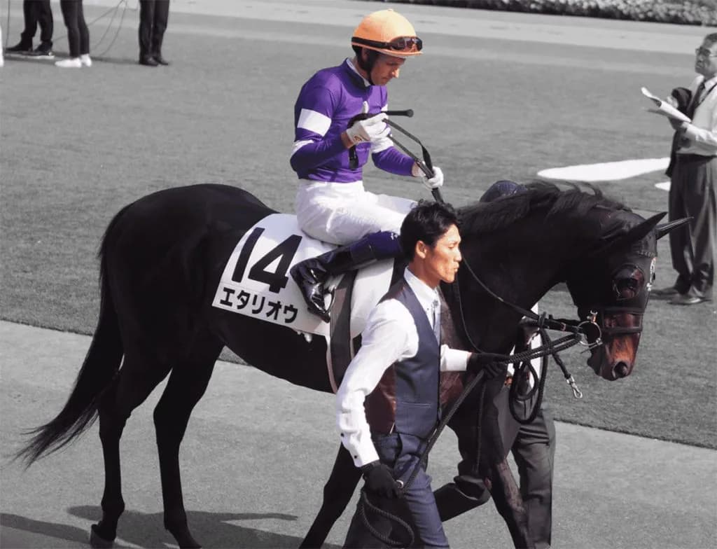 【有馬記念2019予想】大駆け狙いたい穴馬！人気急落のエタリオウ