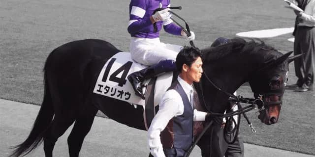 【有馬記念2019予想】大駆け狙いたい穴馬！人気急落のエタリオウ