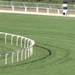 朝日杯FS（2019）当日の馬場は？先週の馬場傾向を距離別のデータで分析予想