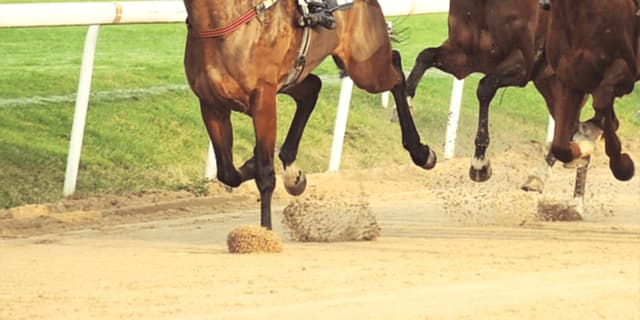 【阪神JF予想2019】最終追い切り・調教内容が高評価の馬トップ3は？