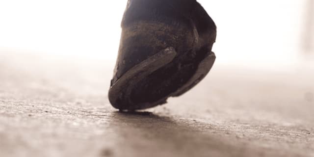 【ベテルギウスS予想2019】連勝中のコマビショウ、飛躍の一戦になるか