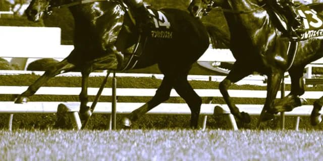 【千両賞2019予想】多彩な勝ち馬が魅力の出世レース、昨年に続き波乱となるか？