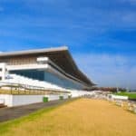 【日経賞2026予想】天皇賞春の前哨戦！マイユニバースやコスモキュランダなど出走予定馬を考察