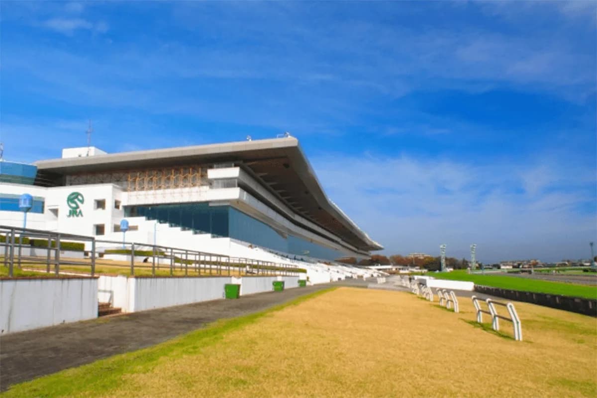 【オーシャンS予想2020】G1高松宮記念へのステップ！タワーオブロンドンやダノンスマッシュなど出走予定馬を考察