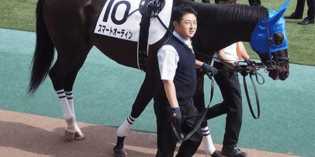 【阪神カップ2019予想】阪神巧者スマートオーディン、豪脚一閃に期待