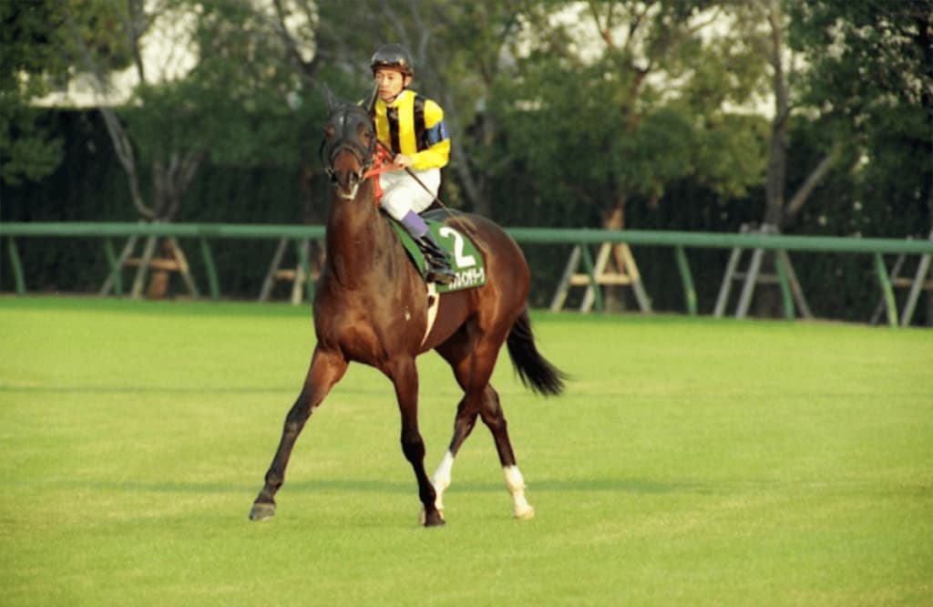 ダンスインザダーク、老衰のため死亡