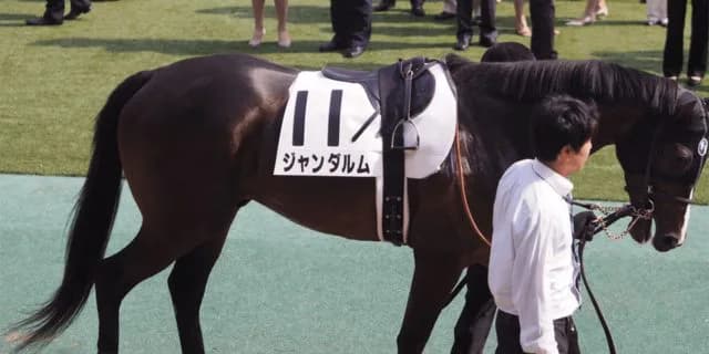 【ニューイヤーS予想2020】ジャンダルム、前走シンガリ負けから巻き返しなるか