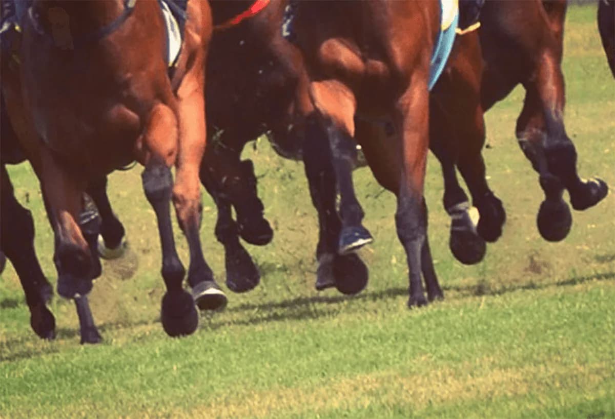 【きさらぎ賞2020予想】3歳馬の有望株が激突！アルジャンナやサトノゴールドなど出走予定馬を考察