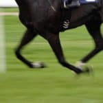 【ステイヤーズS予想2025】しぶとさが武器のヴェルテンベルク、持続力勝負ならこの馬