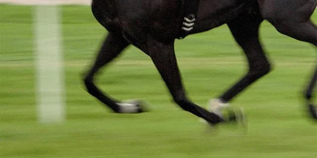 【ステイヤーズS予想2025】しぶとさが武器のヴェルテンベルク、持続力勝負ならこの馬