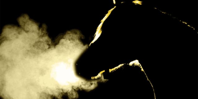 【東京新聞杯2020予想】ヴァンドギャルド、満を持して再度重賞戦線へ