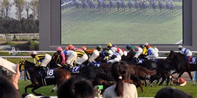 【カウントダウンS予想2024】混戦模様の京都最終戦、締めくくるのはどの馬だ！？