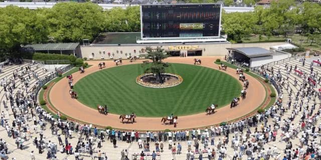 【きさらぎ賞2020予想】最終追い切り・調教内容が高評価の馬トップ3は？