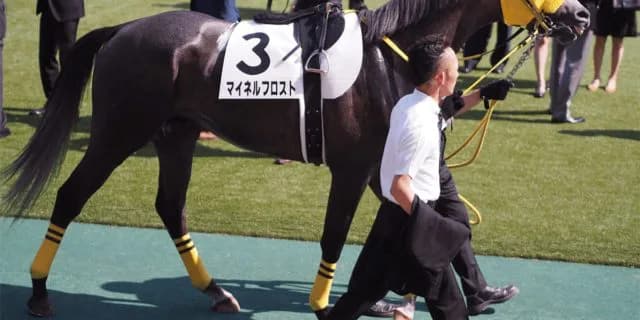 マイネルフロスト、骨折で予後不良