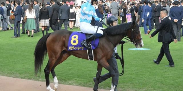【天皇賞春2022】紅一点メロディーレーン、史上2頭目の牝馬Vへ