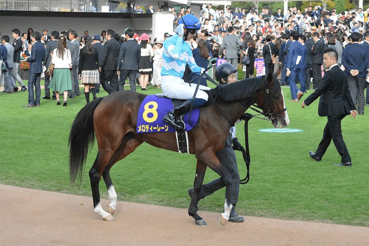 JRAの小さなアイドルホース、メロディーレーンは有馬記念へ
