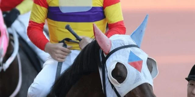 【川崎記念2020予想】差し決まる馬場、ミツバの連覇に期待大