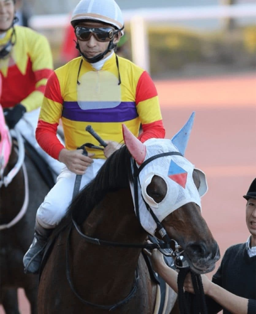 【川崎記念2020予想】差し決まる馬場、ミツバの連覇に期待大