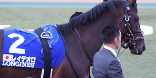 JRA年度代表馬リスグラシュー、“お相手”はレイデオロが有力か