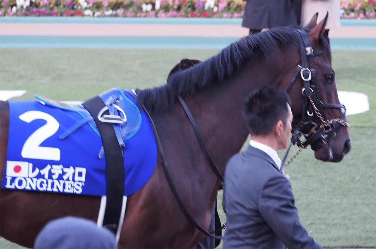 JRA年度代表馬リスグラシュー、“お相手”はレイデオロが有力か