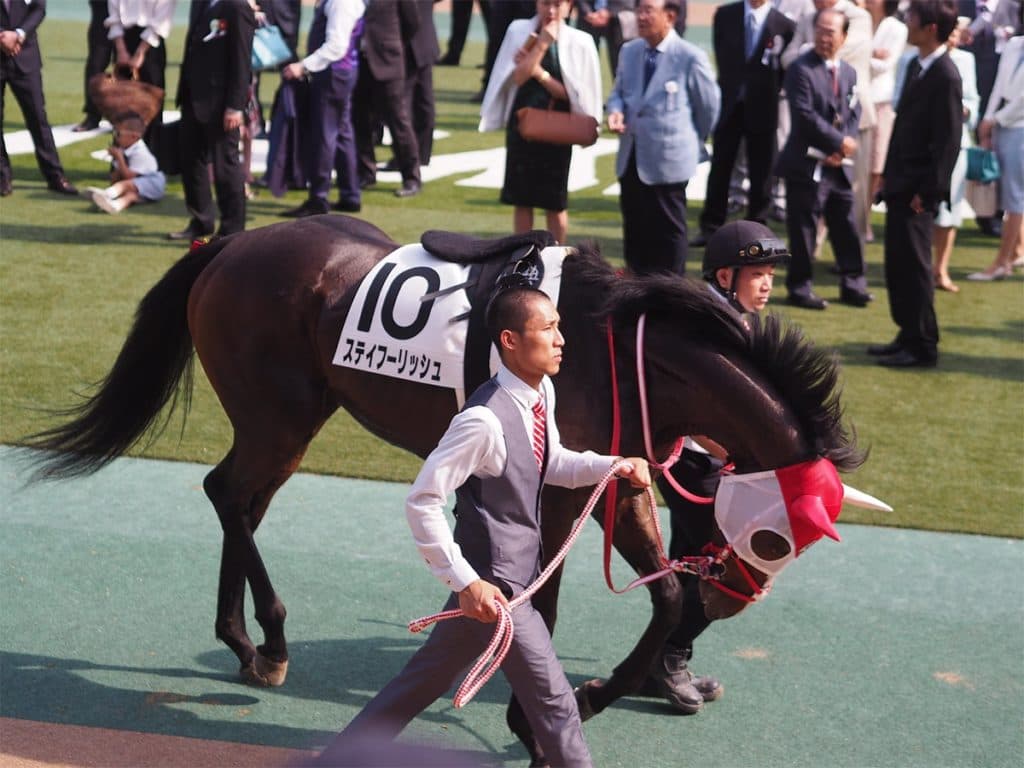 【香港ヴァーズ2021予想】ステイフーリッシュ、父と同じ舞台で善戦マン返上なるか？