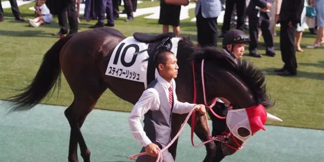 【香港ヴァーズ2021予想】ステイフーリッシュ、父と同じ舞台で善戦マン返上なるか？