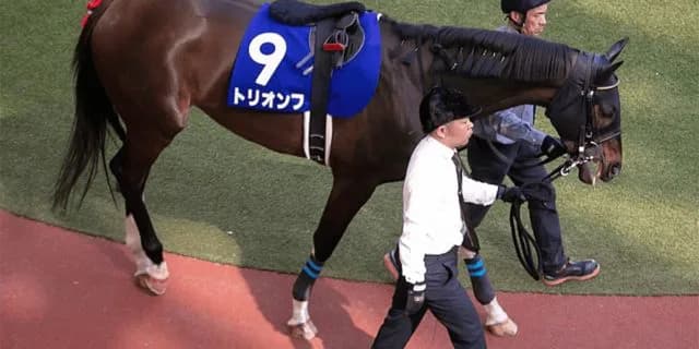 トリオンフ引退、乗馬に
