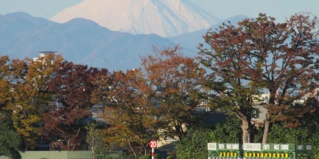 JRAのジャパンカップ褒賞金増額は、外国馬招待の決め手となるか？