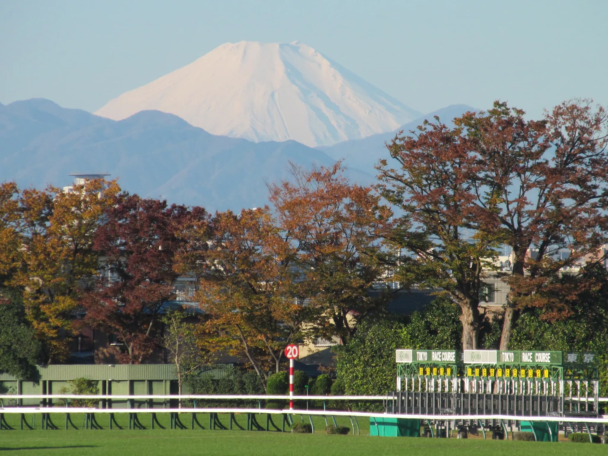 JRAのジャパンカップ褒賞金増額は、外国馬招待の決め手となるか？