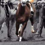 【シトリンS予想2025】地力上位のムルソー、ここは確勝級か？